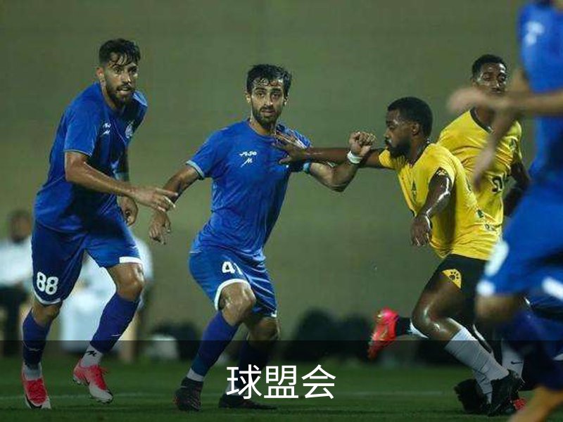 球盟会概况